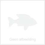 Extra wedstrijden